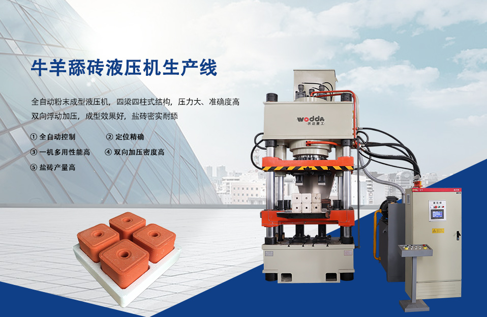 牛羊(yáng)舔磚液(yè)壓機(jī)